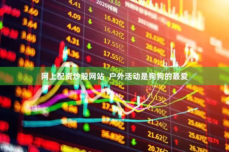 网上配资炒股网站  户外活动是狗狗的最爱