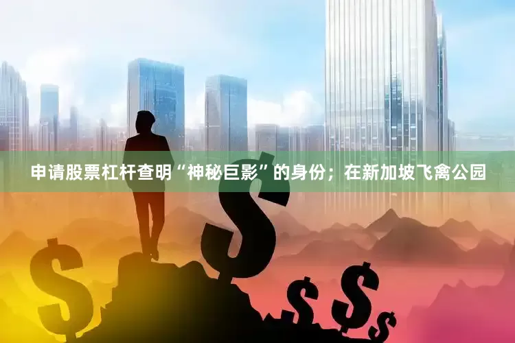 申请股票杠杆查明“神秘巨影”的身份；在新加坡飞禽公园