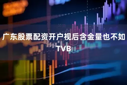 广东股票配资开户视后含金量也不如TVB